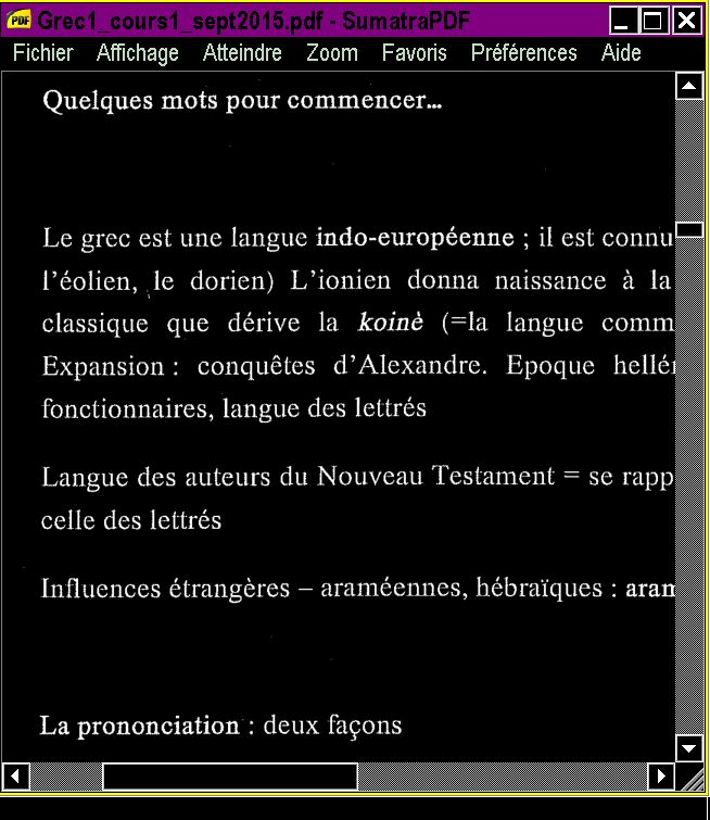 A text in a PDF file